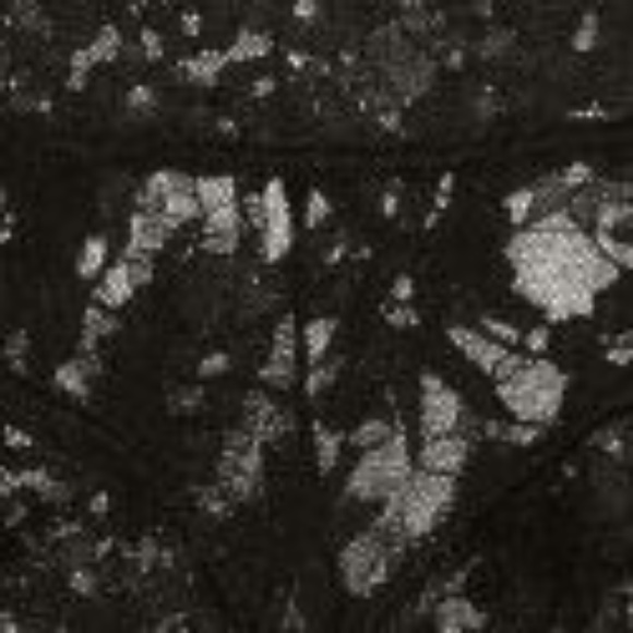 NWT Victoria's Secret Floral Lace Cheeky Panty - Picture 2 of 2